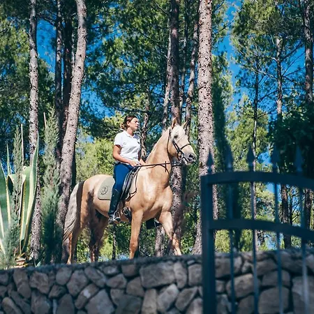 La Escondida - Singular's 4* Penaguila