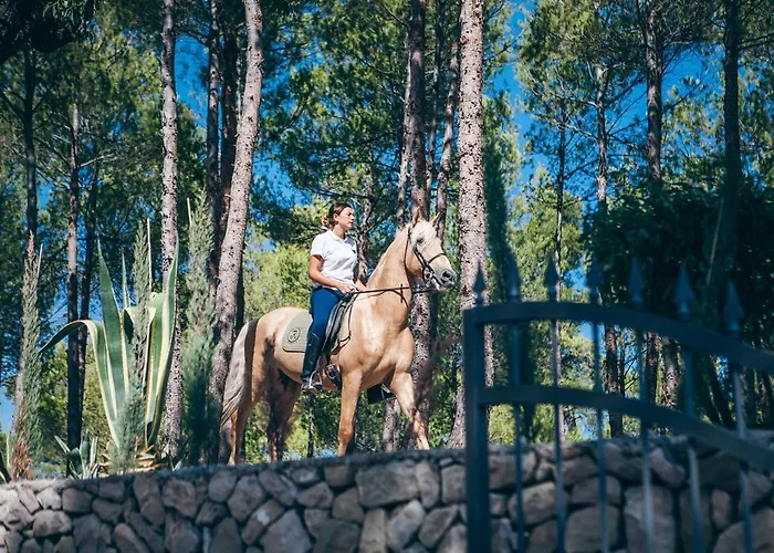 La Escondida - Singular's 4* Penaguila